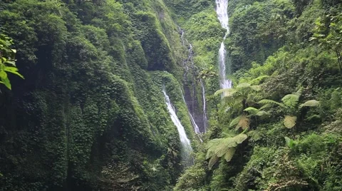 Madakaripura Waterfall. East Java, Indonesia Video stock 40048939