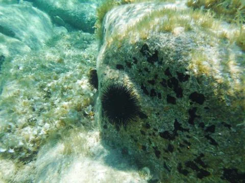 Maddalena Beach Sardinia Stock Photos