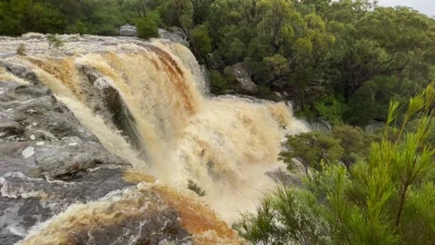 Madden Falls Stock Footage 172058803