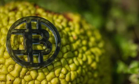 Made from black plastic custom bit coin in nature Fotos de archivo