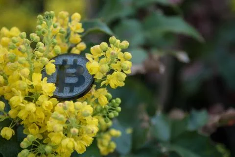 Made from black plastic custom bit coin in nature Fotos de archivo