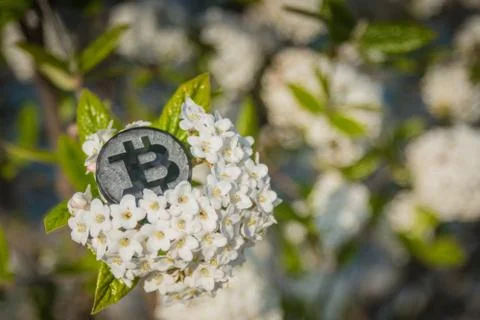 Made from black plastic custom bit coin in nature Fotos de archivo