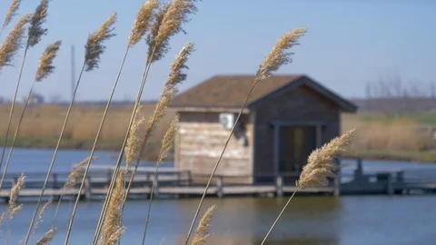 Made come under the rest fishing in the reeds houses Stock Footage 106589366