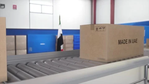 Made in MADE IN UAE import and export concept. Cardboard boxes with product from Stock Footage 245503871