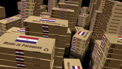 Made in Paraguay box pack loop Stock Footage 333377066