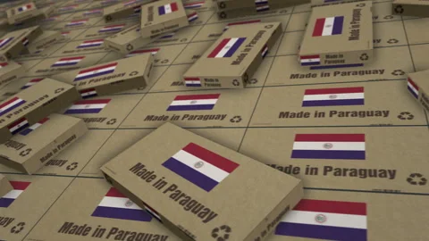 Made in Paraguay box pack production loopable seamless Stock Footage 333375990