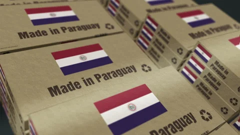 Made in Paraguay box pack production loopable seamless Stock Footage 333377430