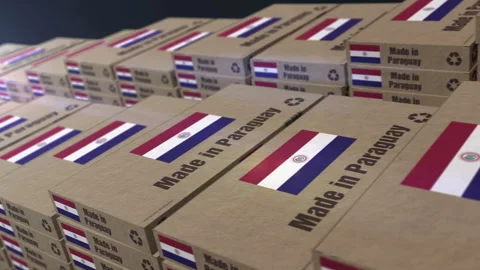 Made in Paraguay box pack production loopable seamless Stock Footage 333377479