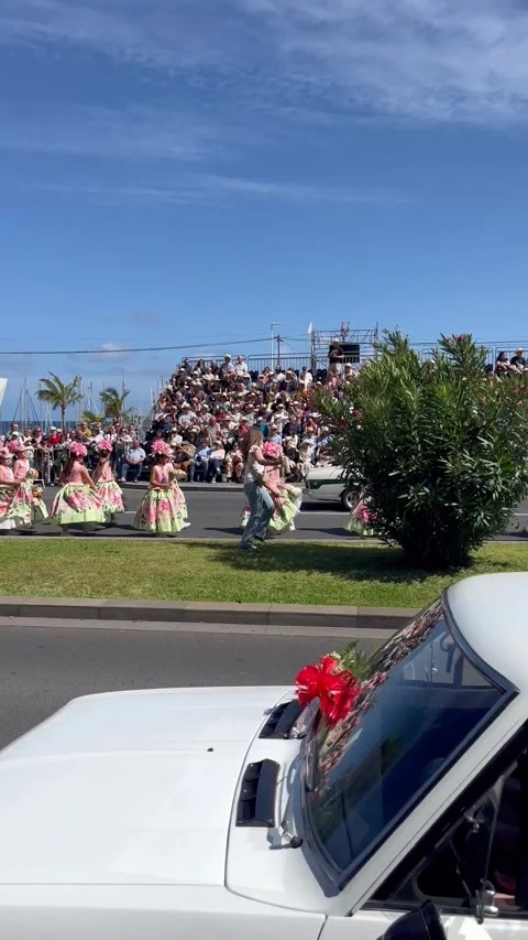 Madeira Flower Classic Auto Parade 2026 (Part 49) Video stock 334670754