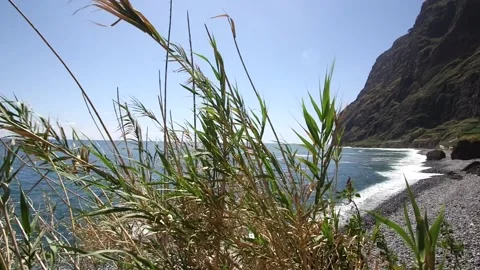 Madeira 스톡 동영상 142129232