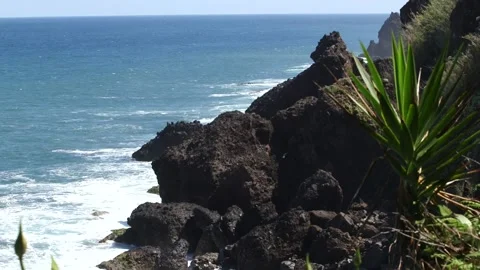 Madeira 스톡 동영상 142129851