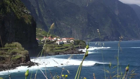 Madeira Stock Footage 142129894