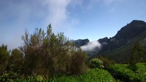 Madeira 스톡 동영상 142129975