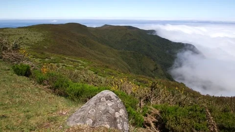 Madeira Stock Footage 142130226