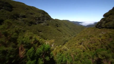 Madeira Stock Footage 142130229
