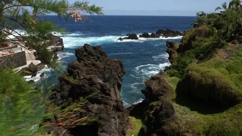 Madeira Stock Footage 142130335