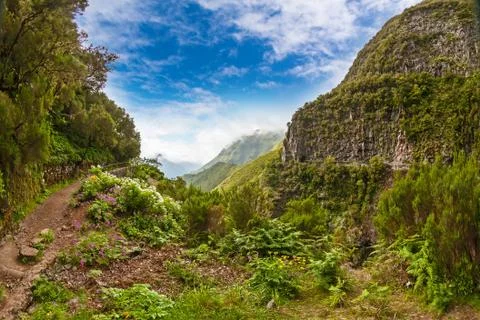 Madeira, idyllic landscape Stock Photos