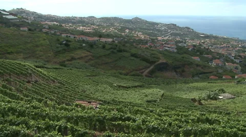 Madeira island time-lapse. Stock Footage 62945778