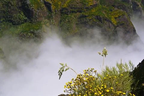 Madeira mountains in clouds. Stock Photos