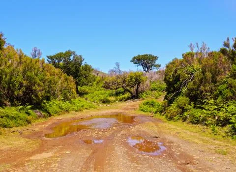 Madeiran Landscape Stock Photos