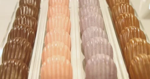 Madeleine cakes arranged in rows, bakery display, commercial food Stockbeeldmateriaal 343056443