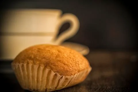 A madeleine cookie and a cup Stock Photos