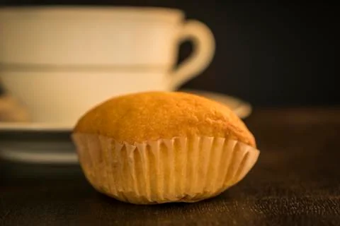 A madeleine cookie and a cup Stock Photos