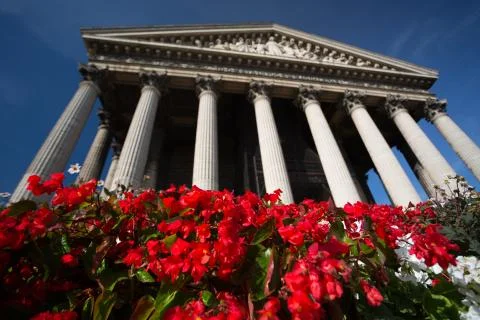 Madeleine Stock Photos