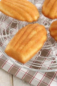 Madeleine sponge cake Stock Photos