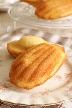 Madeleine sponge cake Stock Photos