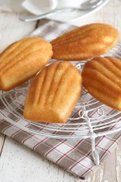 Madeleine sponge cake Foto stock