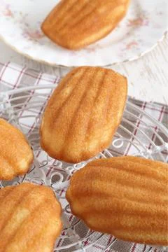 Madeleine sponge cake Stock Photos