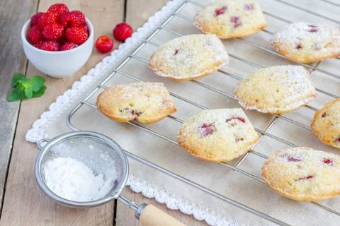 Madeleines cookie with raspberry on cooling rack 写真素材