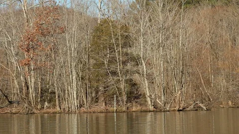 Madison County Lake Stock Footage 102274862