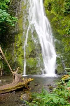 Madison Falls Foto stock