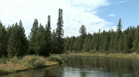 Madison River-zoom Stock Footage 782807