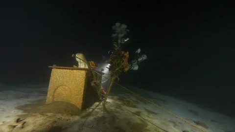 Madonna flower and diver at the bottom of the lake, Albano lake, Italy Stock Footage 107744071