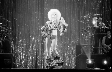 Madonna at M.S.G. Stock Photos