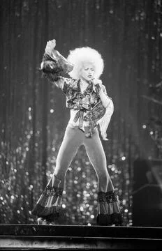 Madonna at M.S.G. Stock Photos