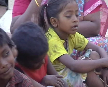 Madras 스톡 동영상 235272