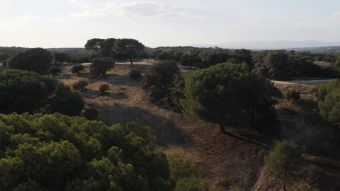 Madrid Casa Campo Video stock 126911916
