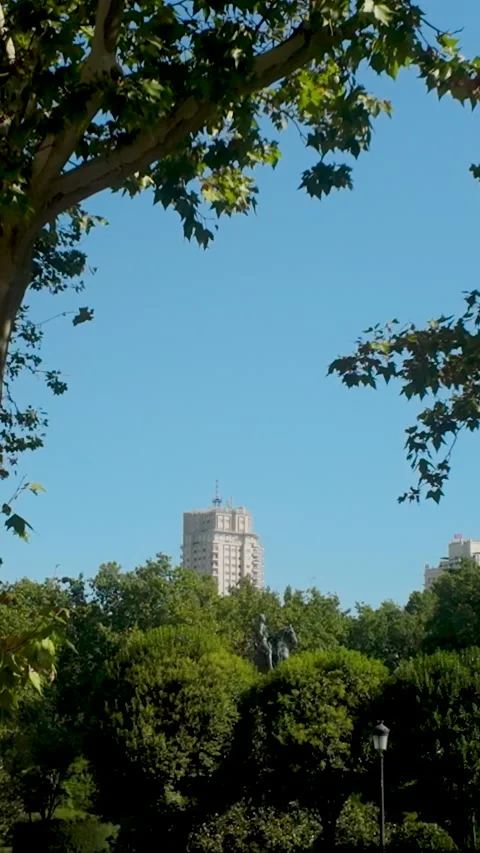 Madrid Cityscape View Of Edificio De Espana Through Green Trees Stock Footage 345875580