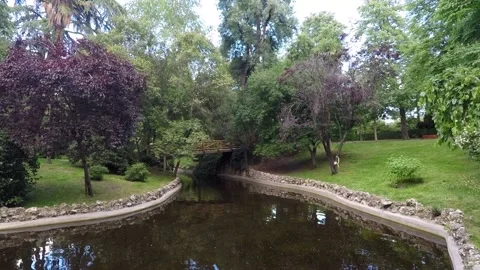 Madrid El Retiro park Stock Footage 147334844