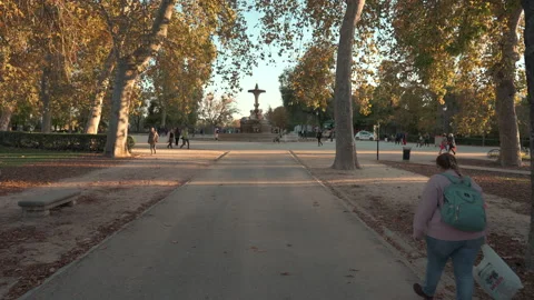 Madrid Park 1 Stock Footage 232539252