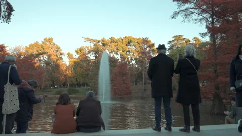 Madrid Park 7 Video stock 232539337