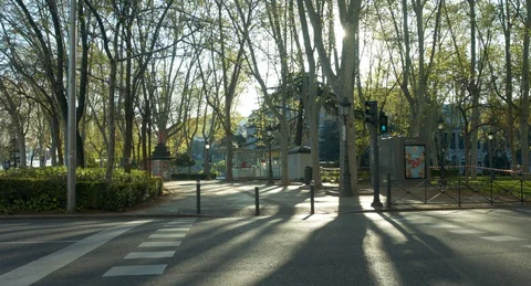 Madrid vacio paso de cebra paseo del prado Stock Footage 127990300
