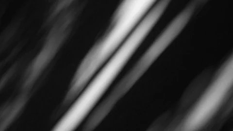 Madrone with Worn Leather2 Dappled Light motion background Video stock 86455405