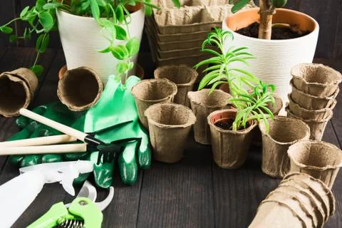 Mady different pots and tools for gardening on wooden table with copy space 스톡 사진