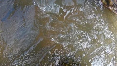 Mae Ya waterfall, Doi Inthanon national park Chiang Mai, Thailand. slow motion Stock Footage 143001849