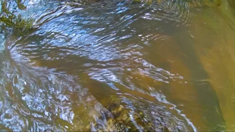 Mae Ya waterfall, Doi Inthanon national park Chiang Mai, Thailand. slow motion Stock Footage 143003219